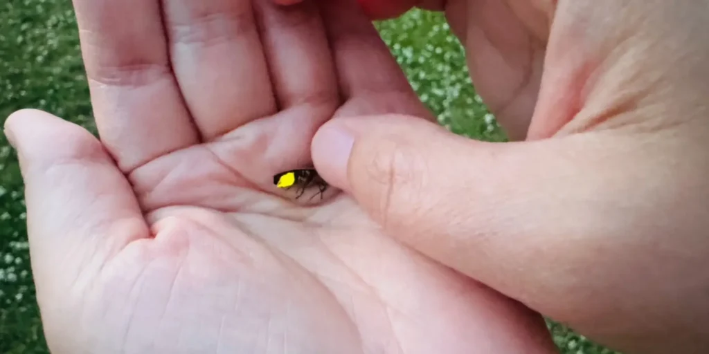 薇羽看世間